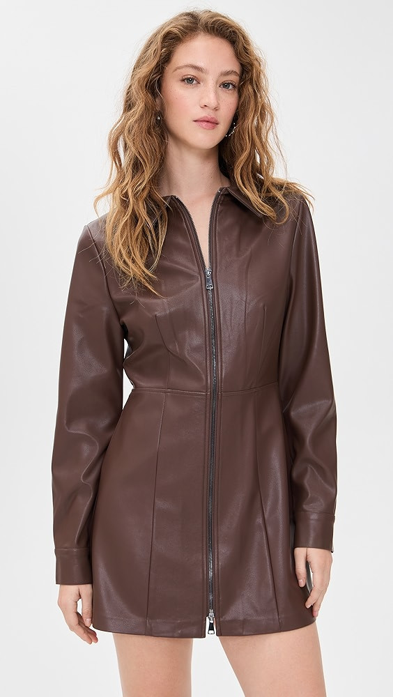 Sloane Faux Leather Dress | Shopbop