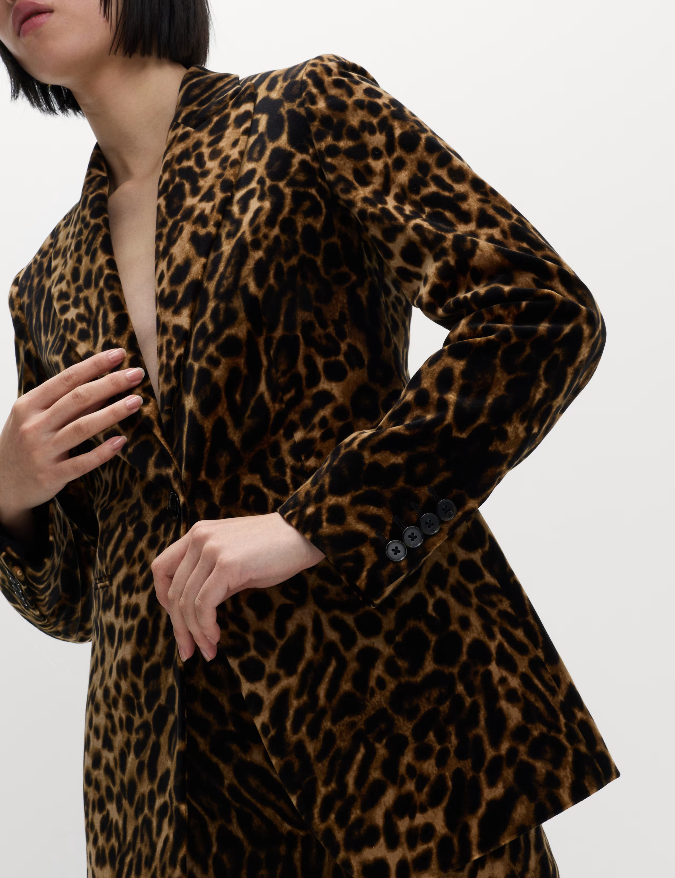 Cotton Velvet Leopard Single Breasted Blazer | Marks & Spencer (UK)