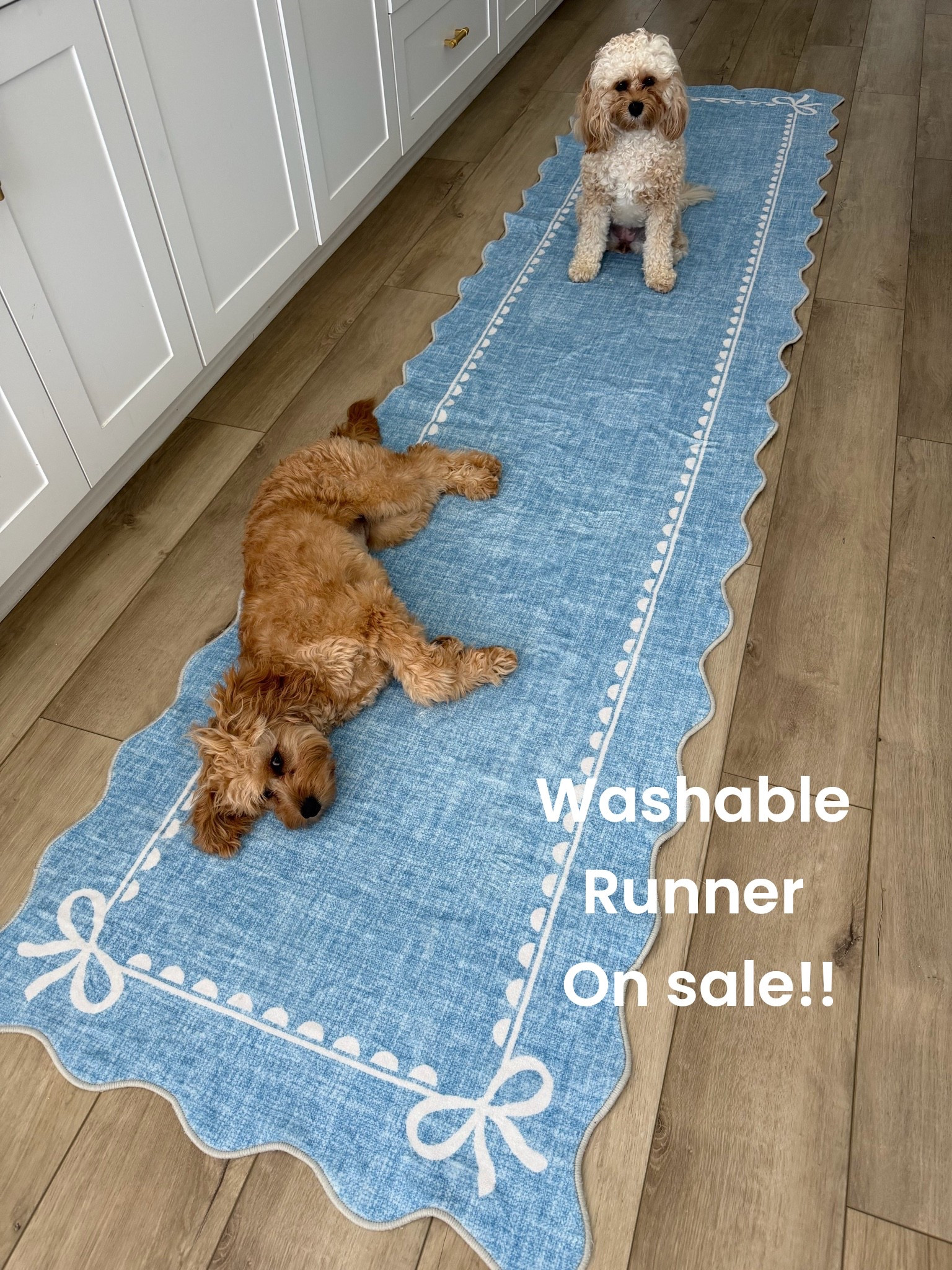 One of my favorite home finds is on sale for Prime Day! 💙

This beautiful washable runner instantly brightened up my kitchen, and the scalloped edges with bow details make it look so much more expensive than it is. Not only is it incredibly cute, but it’s also soft, plush underfoot, and holds up beautifully after washing.

If you have kids, pets, or just love easy-to-clean home decor, this rug is such a great find. It comes in multiple colors and several size options, making it easy to find the perfect fit for your space.

A practical home upgrade that looks designer-inspired without the designer price tag!

#AmazonHome #PrimeDayDeals #AmazonFinds #WashableRug #KitchenDecor #HomeDecorFinds #ScallopedRug #AmazonHomeFinds #InteriorInspiration #AffordableHomeDecor #KitchenRunner #PrimeDayHomeDeals #DogFriendlyHome #EasyHomeUpdates

#LTKHome #LTKSaleAlert