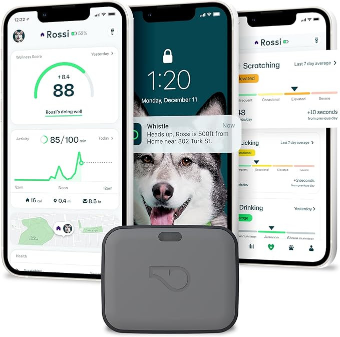 Whistle GO Explore GPS + Health + Fitness Dog Tracker Plus Health & Fitness Monitor, Waterproof, ... | Amazon (US)