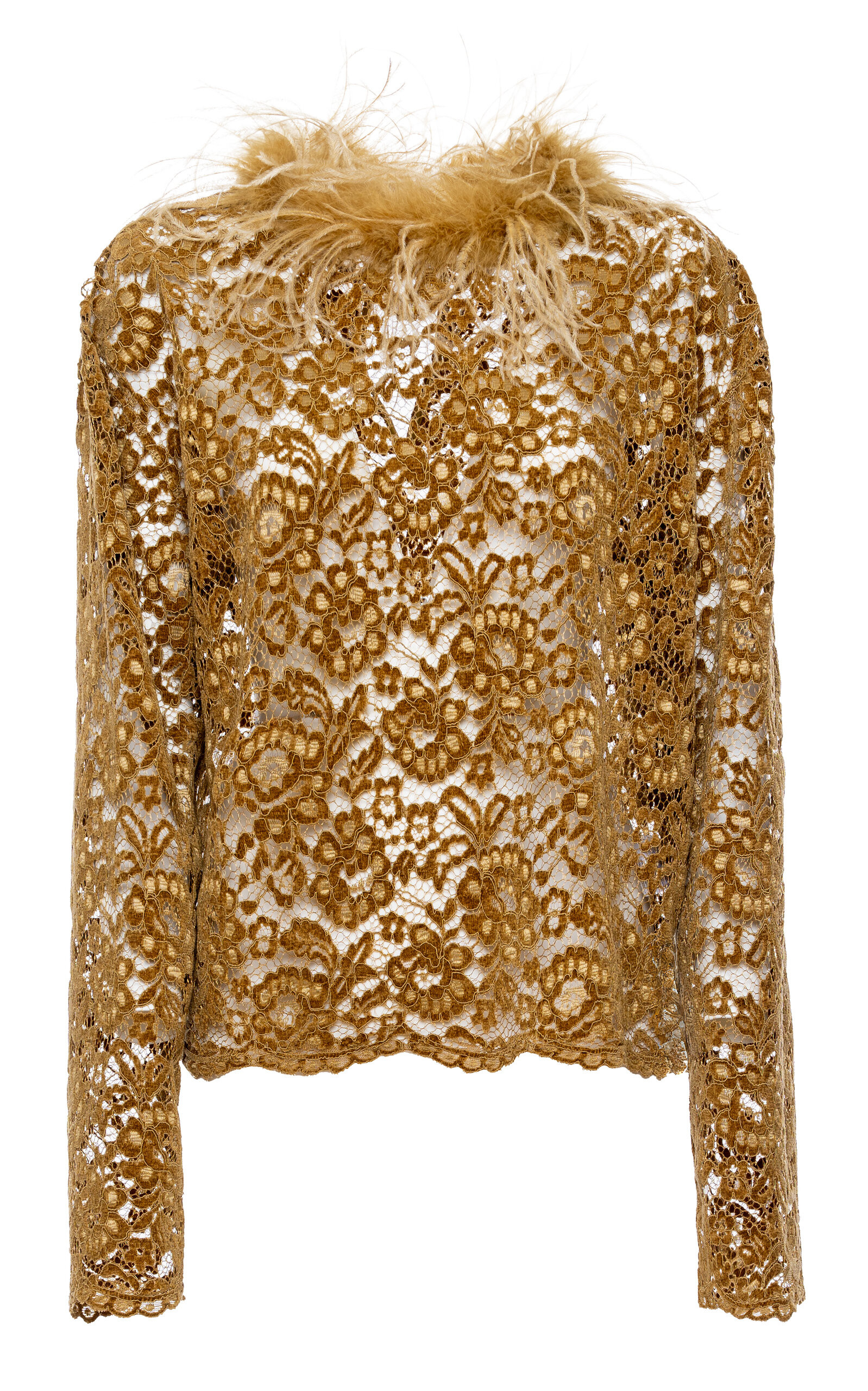 Feather-Trimmed Lace Top | Moda Operandi (Global)
