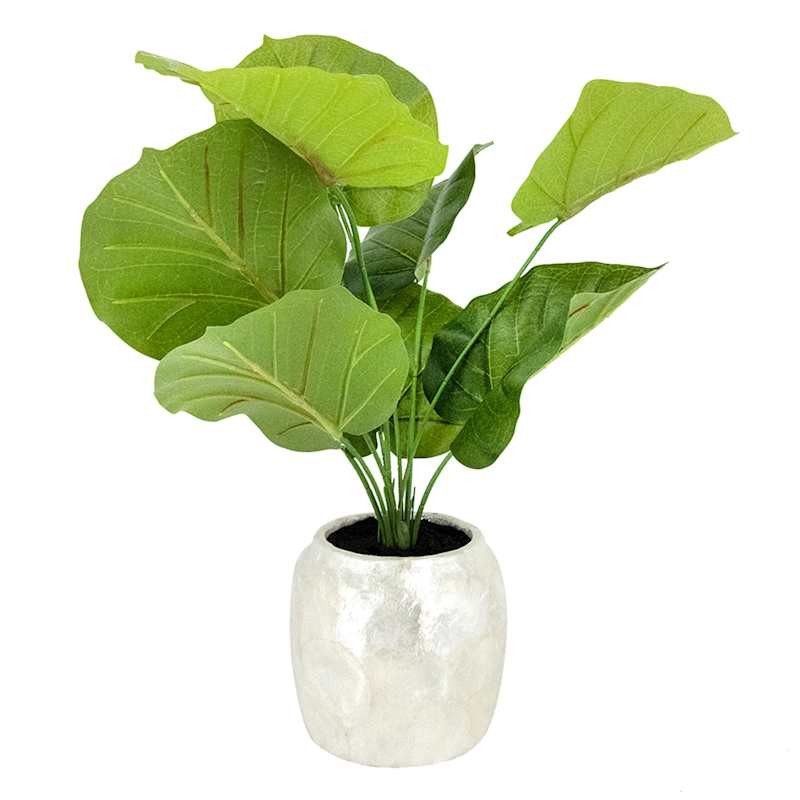 Green Taro Leaf Arrangement in White Pearlescent Ceramic Pot, 20" | At Home