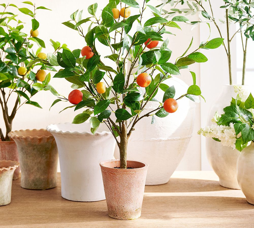 Faux Potted Orange Topiary | Pottery Barn (US)