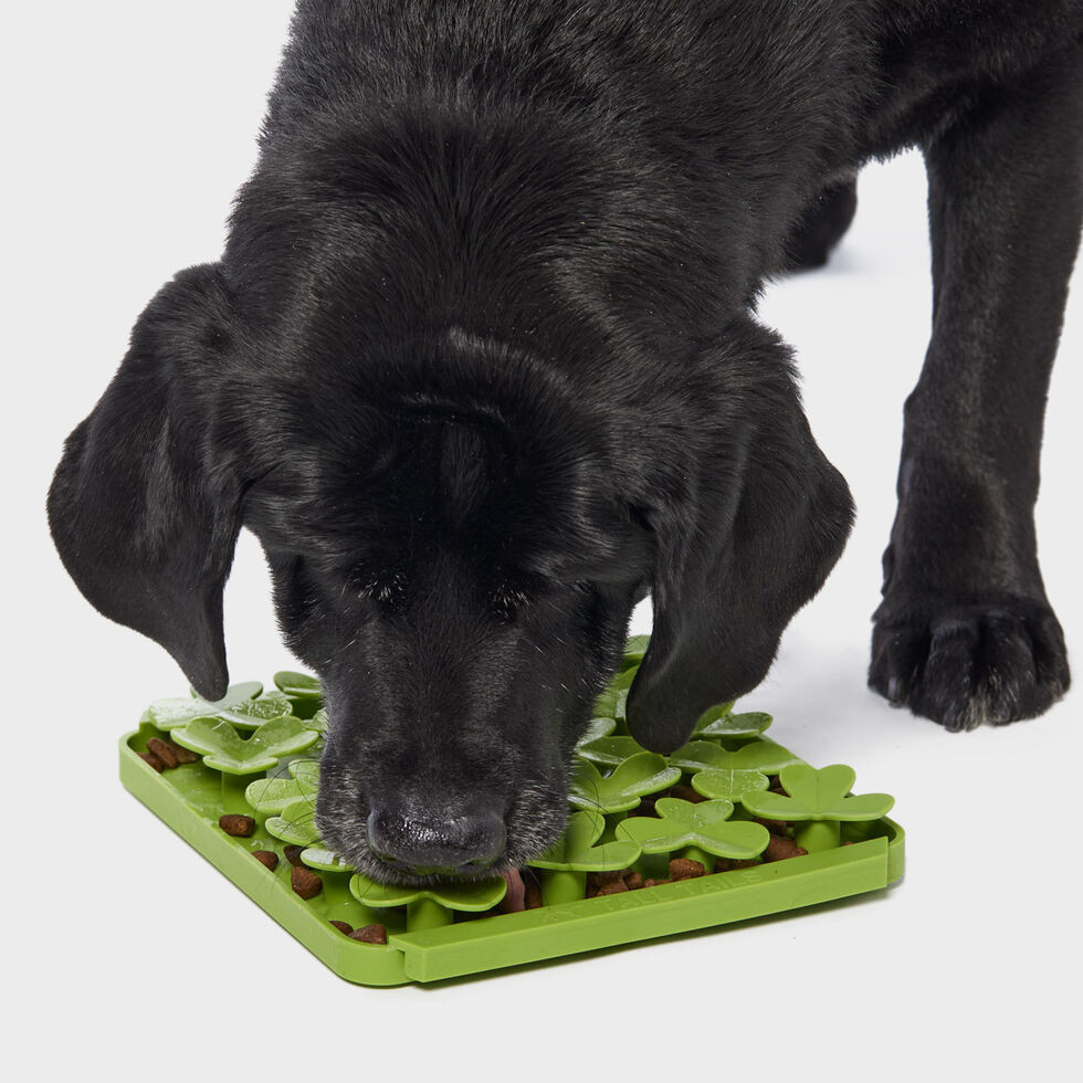 Dog Feeding and Foraging Mat | Duluth Trading Co.