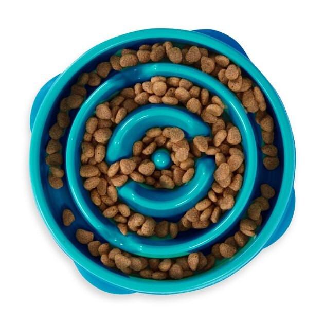 OUTWARD HOUND Non-Skid Plastic Slow Feeder Interactive Dog Bowl, Teal, 2-cup - Chewy.com | Chewy.com