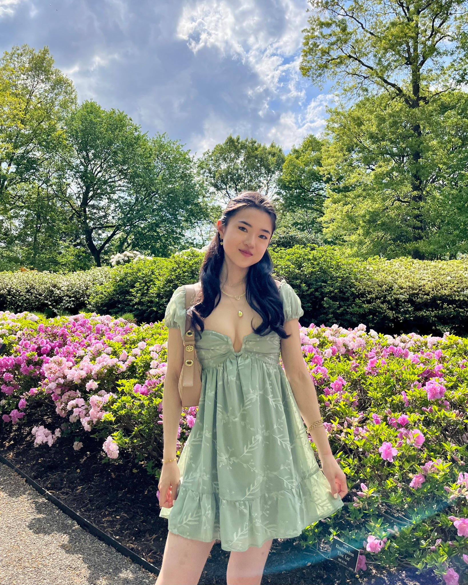 Botanical garden dress 🌷💖

#LTKStyleTip #LTKFindsUnder100 #LTKSeasonal