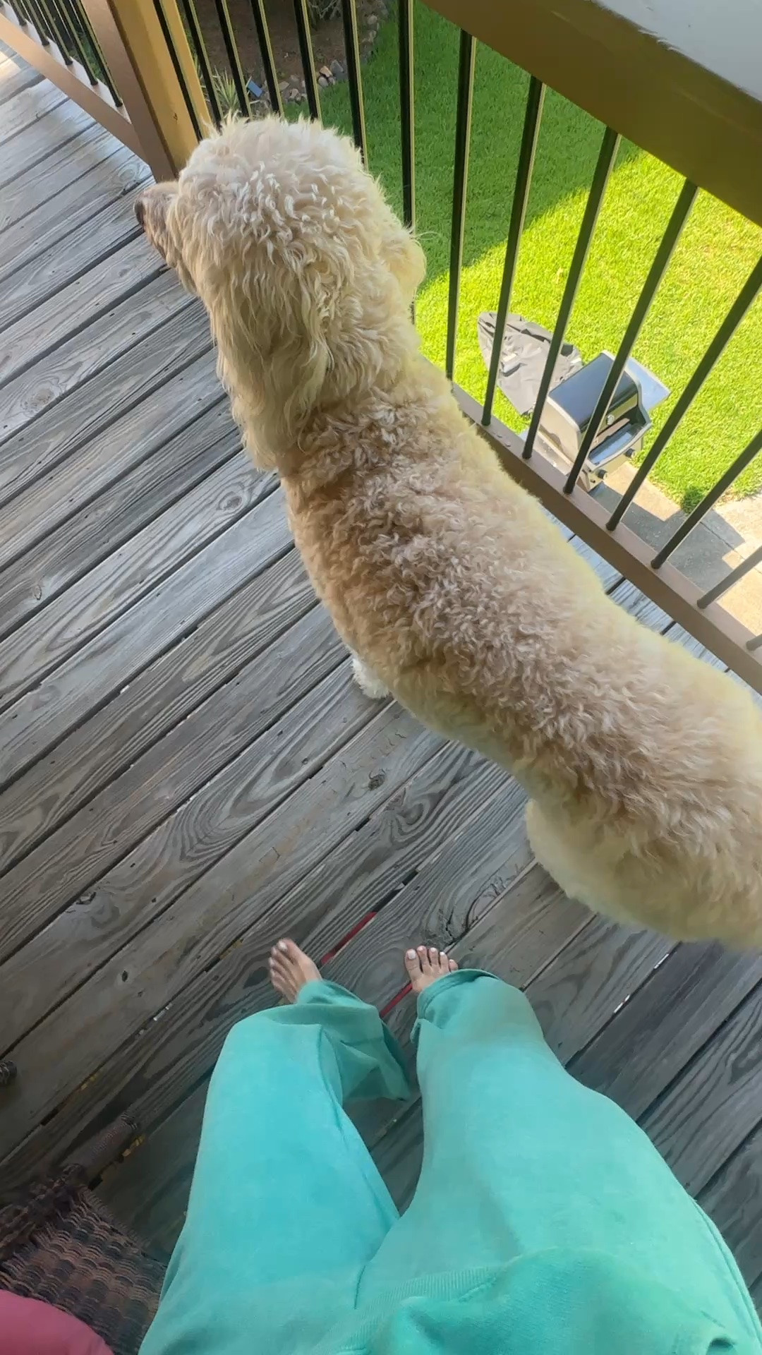 I was asked about this cozy outfit on my stories today!! I own the skort in pink too so i linked that as well! #matchingsets #cozyclothes

#LTKootd #LTKdayinmylife #LTKSeasonal