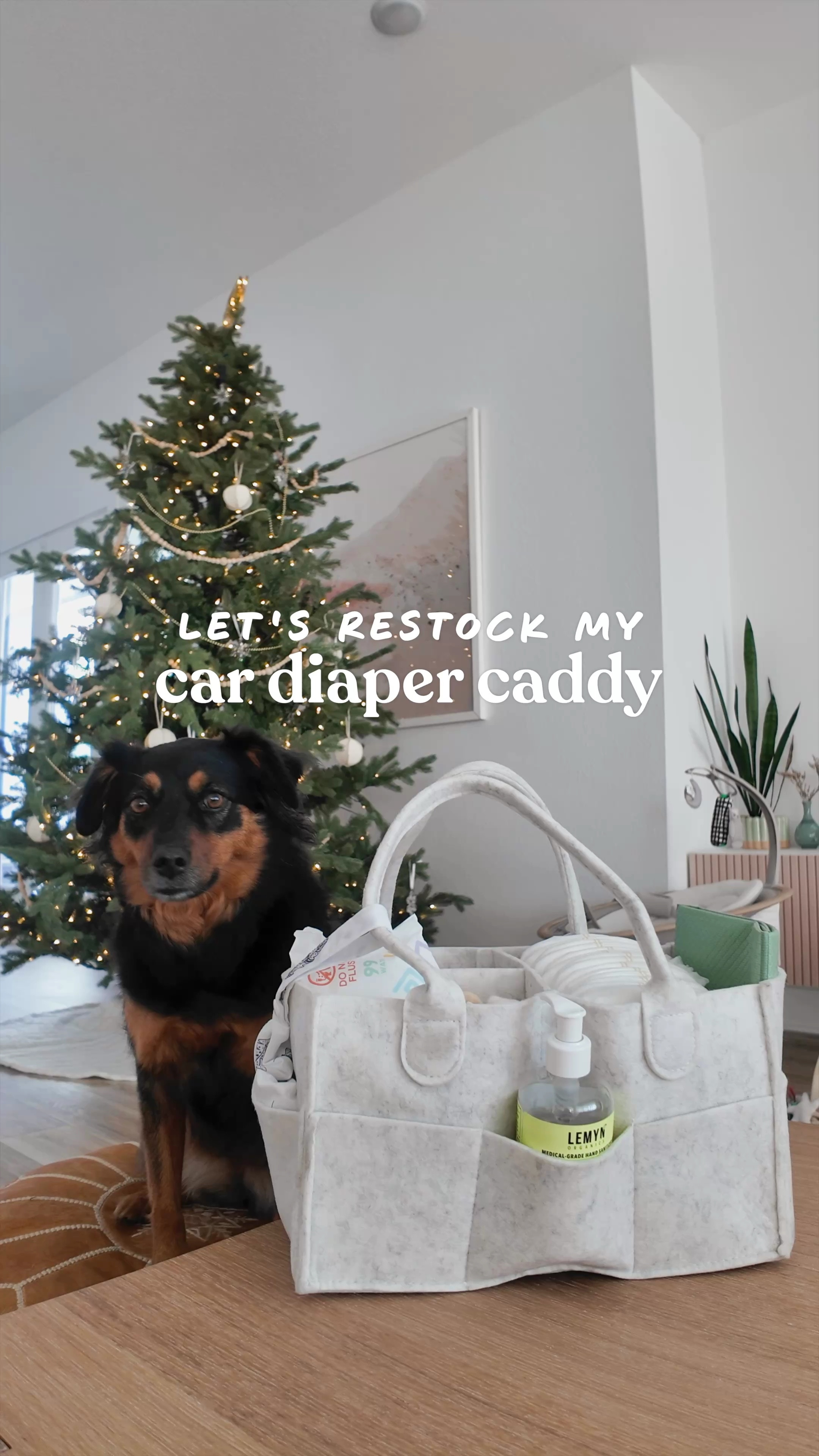 what’s in my car diaper caddy!