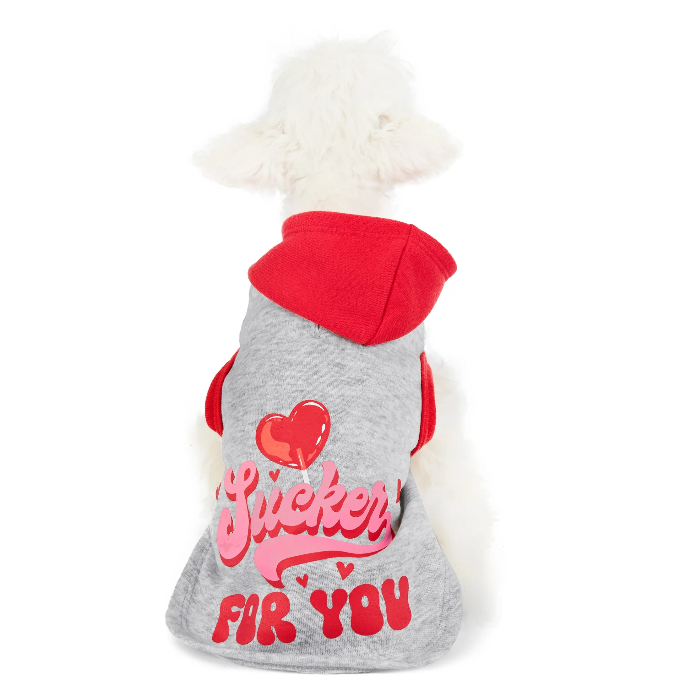 Vibrant Life Valentine's Day Sucker for You Cat and Dog Hoodie, Gray, Extra Small | Walmart (US)