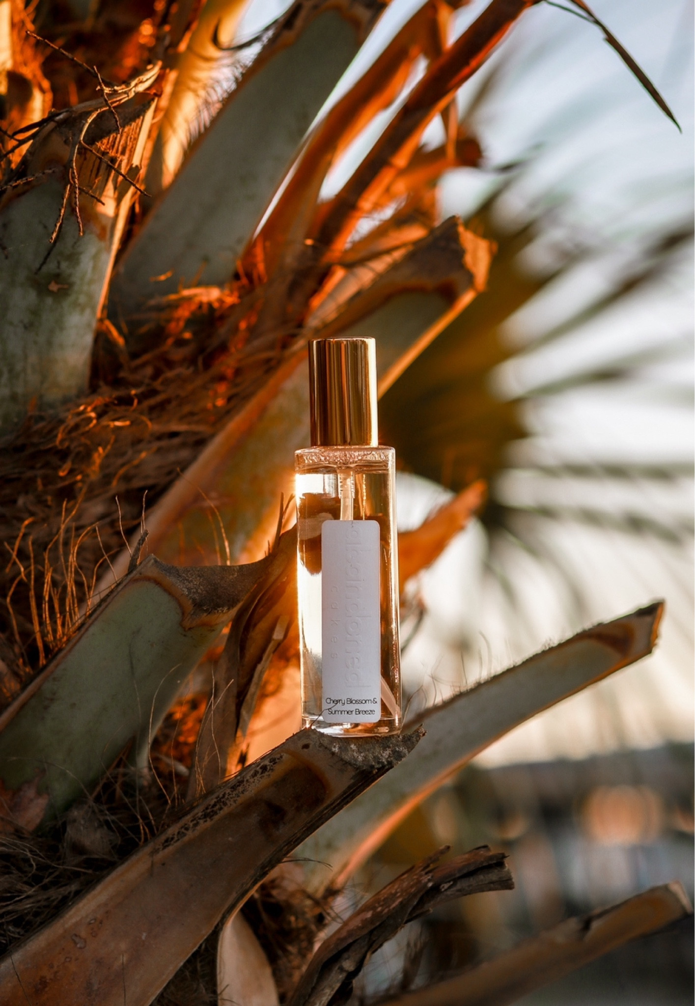 The sweeeet smell of the summer breeze is right around the corner! Shop the new home scents with my code BRITTANY10 to save on your new order!

#LTKSeasonal #LTKfindsunder50 #LTKGiftGuide