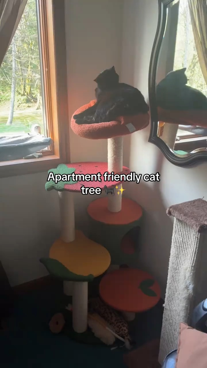 Cute cat tree aesthetic for small spaces. This fruit cat tree is perfect for small spaces and it’s super cute. 

#LTKHome