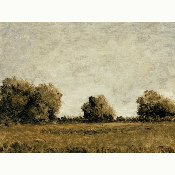 Clasica VI | Amber Interiors