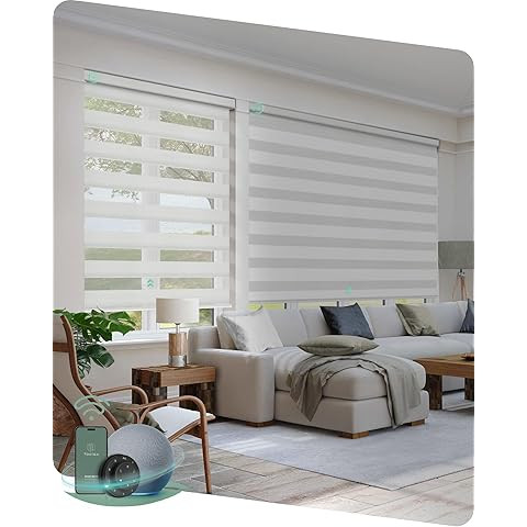Graywind Motorized Zebra Sheer Blinds Compatible with Alexa Horizontal Light Filtering Window Sha... | Amazon (US)