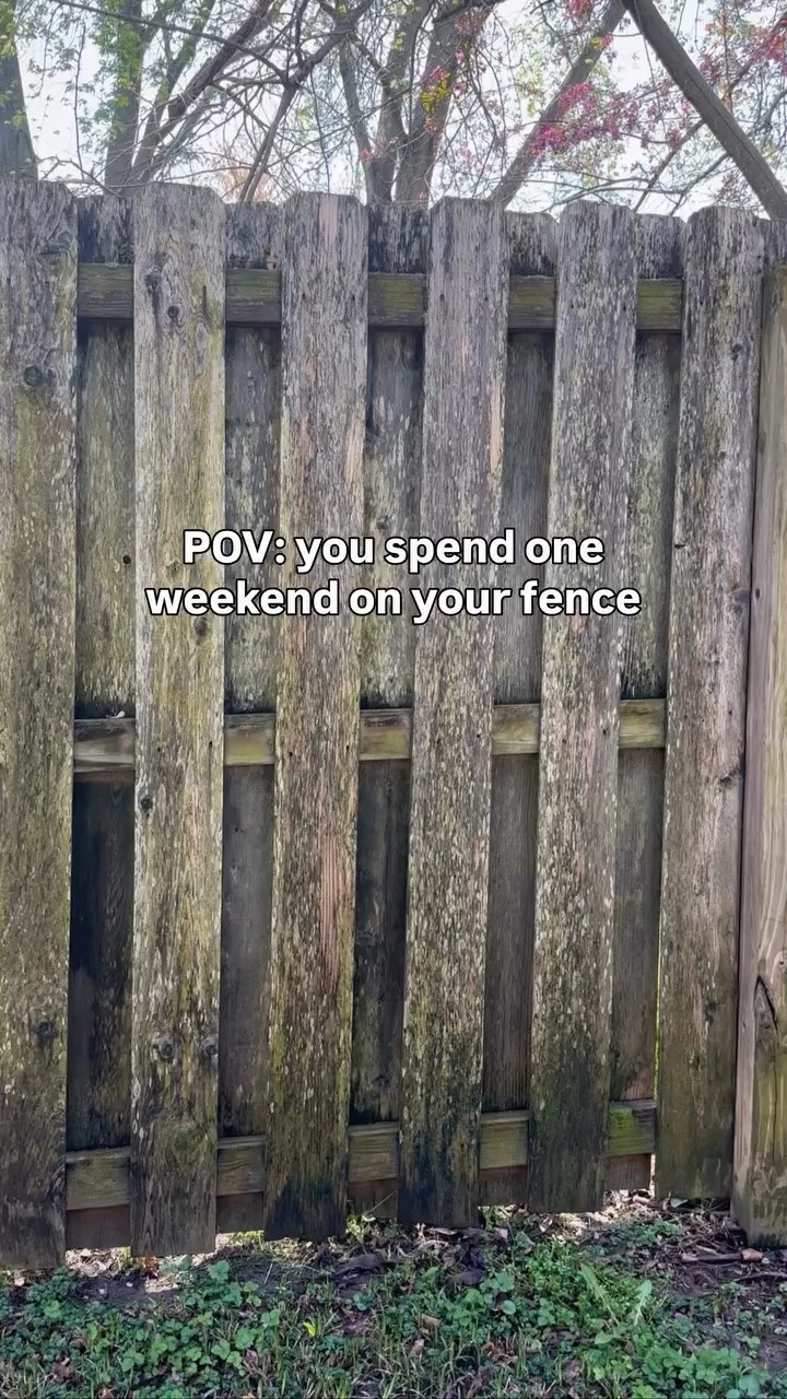 Our old wood fence was looking weathered and worn, but this simple refresh made such a dramatic difference without replacing it. Linking everything we used — from the power washer and stain to the tools and supplies that helped bring our fence back to life.@Lowe's




fence stain, wood fence stain, fence makeover, power washer, pressure washer, fence restoration, outdoor home improvement, backyard makeover ideas, wood stain for fence, DIY fence refresh, exterior home projects, deck and fence stain, outdoor renovation ideas, home improvement tools

#LTKstorytime #LTKHome