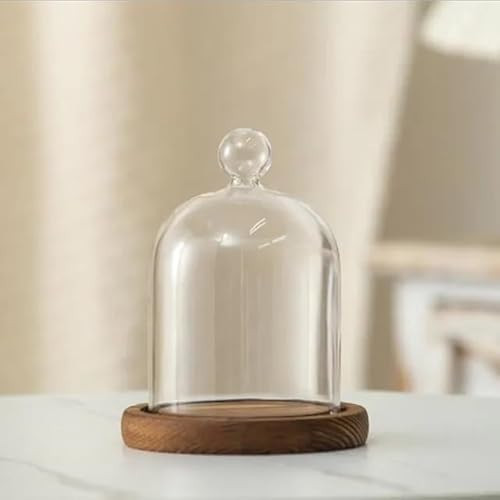 12 * 16cm Big Size Antique Base Different Top Glass Dome Vase Home Decoration Transparent Candle Cover Wedding Friend Favor Gift (1set Ball Dome Base) | Amazon (US)