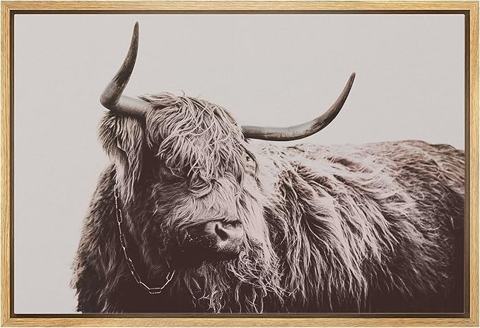 SIGNLEADER Framed Canvas Print Wall Art Full View of Highland Cow Animals Wilderness Photography ... | Amazon (US)
