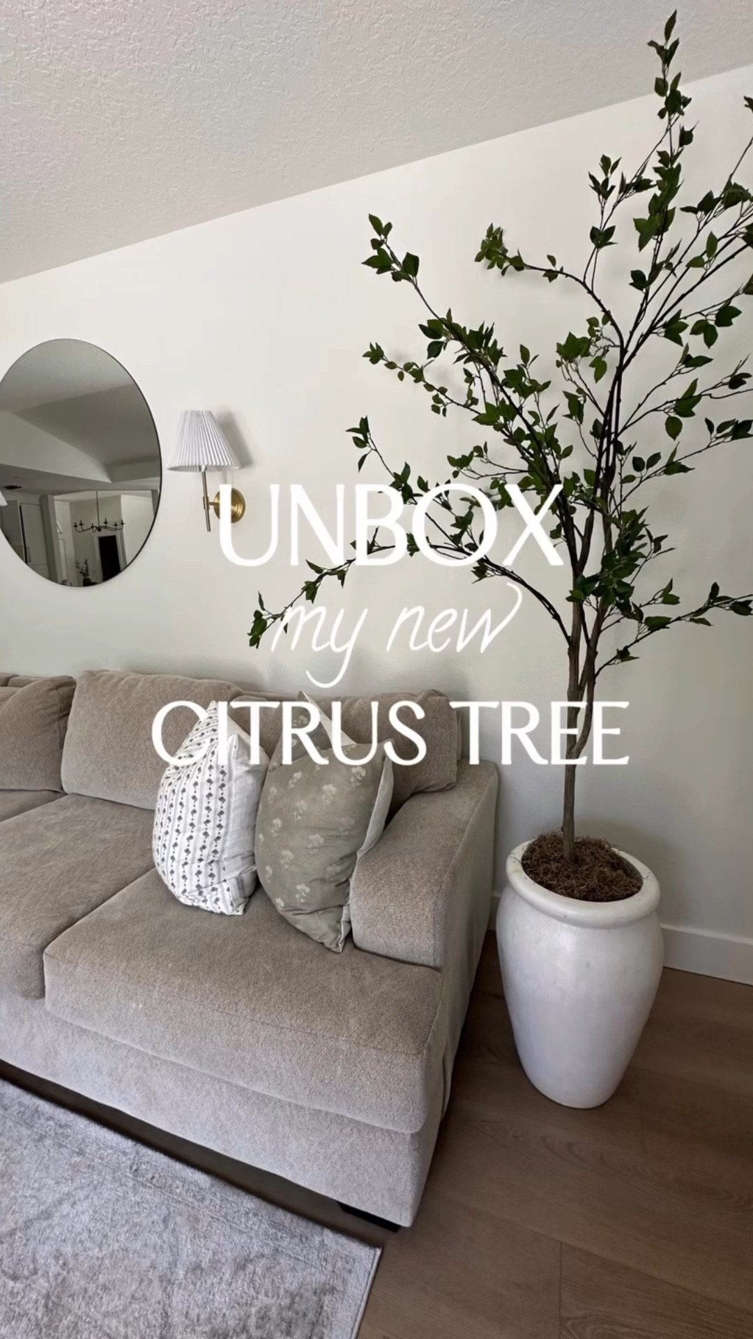 Whoa..this tree is even better in person! 🌳 

You probably remember me searching for something a bit different than your standard olive tree and I found it!

I would say I am equally in love with the planter I found that seems to just be a perfect fit😍 it’s giving Pottery  Barn…but you won’t believe where I found it!

Pro tip: just use the box the tree comes with to give it some height inside the planter and top with your favorite moss-linked here!


#citrustree #indoorplanter #indoorplanterideas #amazonhomedecor #citrustreestyling #homedepot #outdoorplanter #neutralplanter #moodboards #homedecor #homestyling #livingroominspiration #modernorganic #neutralhome #custommoodboard #indoortree #indoortreeinspo

#LTKHome