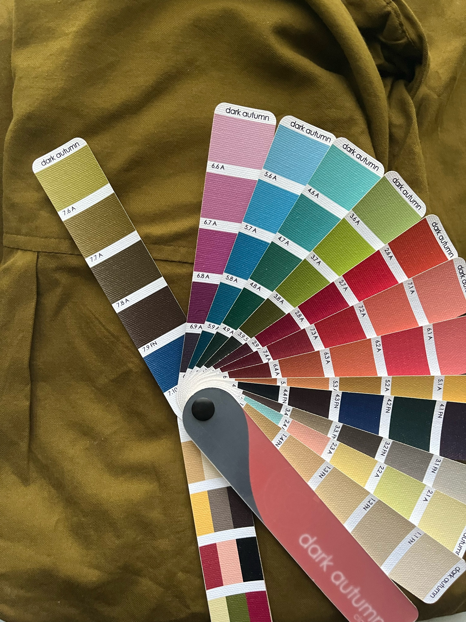 Love this green women’s long sleeved over sized button down! Cute for fall! Watches to the 7.7A in the TCI Dark Autumn color palette! 

#LTKunder50 #LTKworkwear #LTKSeasonal