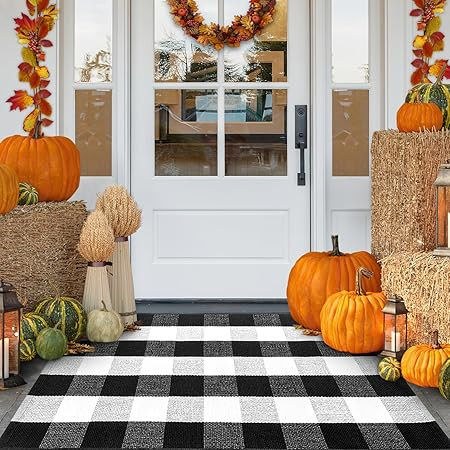 Frendy Buffalo Plaid Outdoor Rug, 27.5" x 43" (2.3' x 3.6') Hand-Woven Plaid Rug for Front Porch,... | Amazon (US)