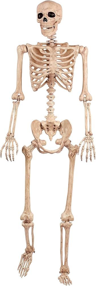 Crazy Bonez Pose-N-Stay Skeleton | Amazon (US)