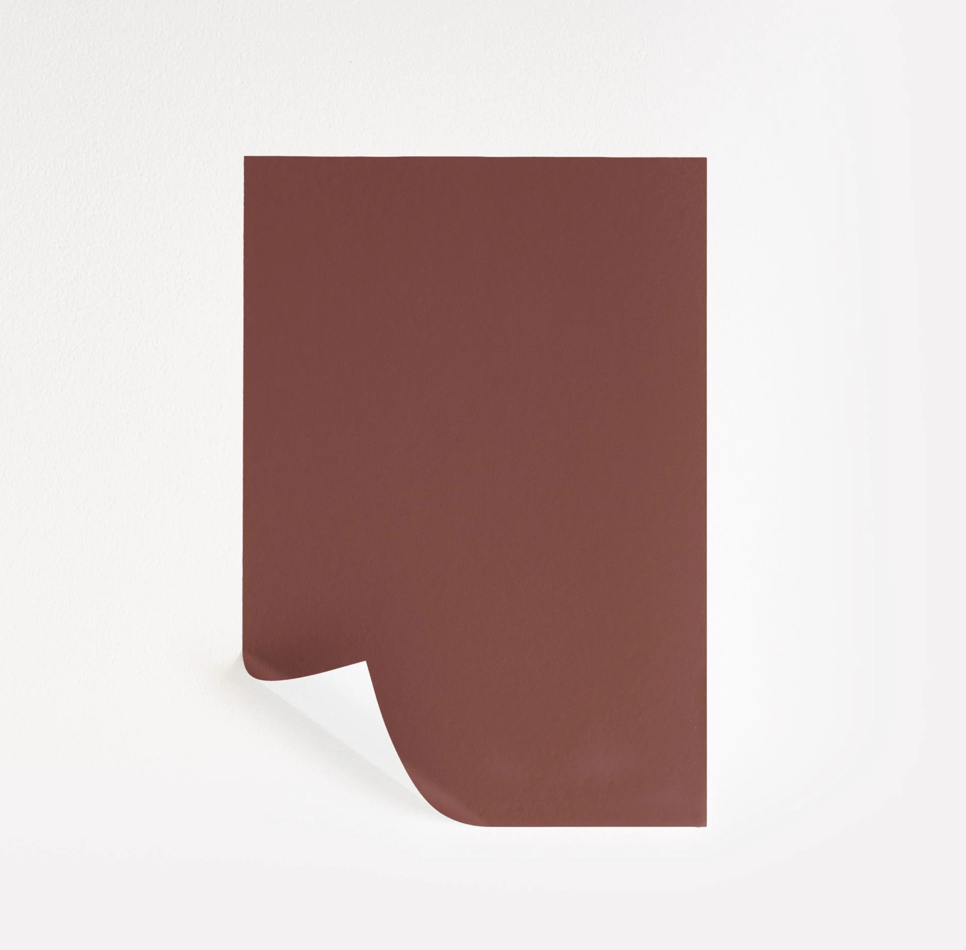 Burnt Russet  Paint Sample | Samplize