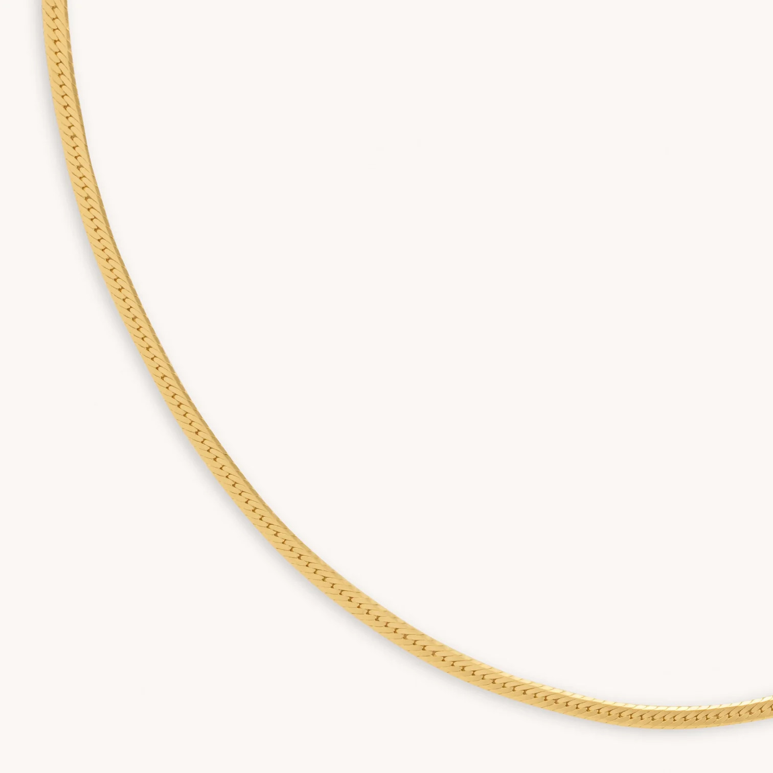 Snake Chain Gold Necklace | Astrid & Miyu | Astrid and Miyu