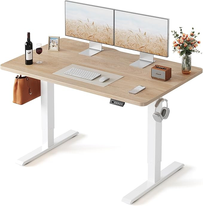 FEZIBO Standing Desk, 48 × 24 Inches Electric Height Adjustable, Sit and Stand Up, Computer Offi... | Amazon (US)