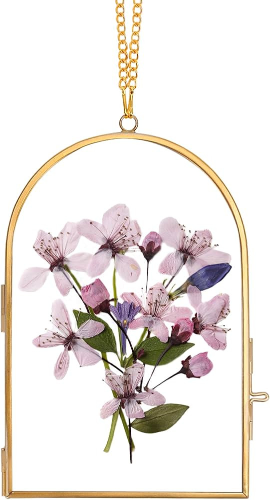 Glass Pressed Flower Frame Handmade, Glass Frame For Pressed Flowers Wall Hanging Floating Frame ... | Amazon (US)