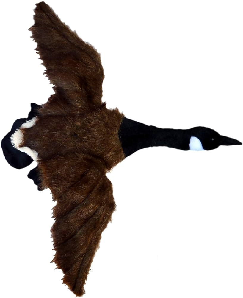 Adore 23" Gander The Canada Goose Plush Stuffed Animal Walltoy Wall Mount | Amazon (US)