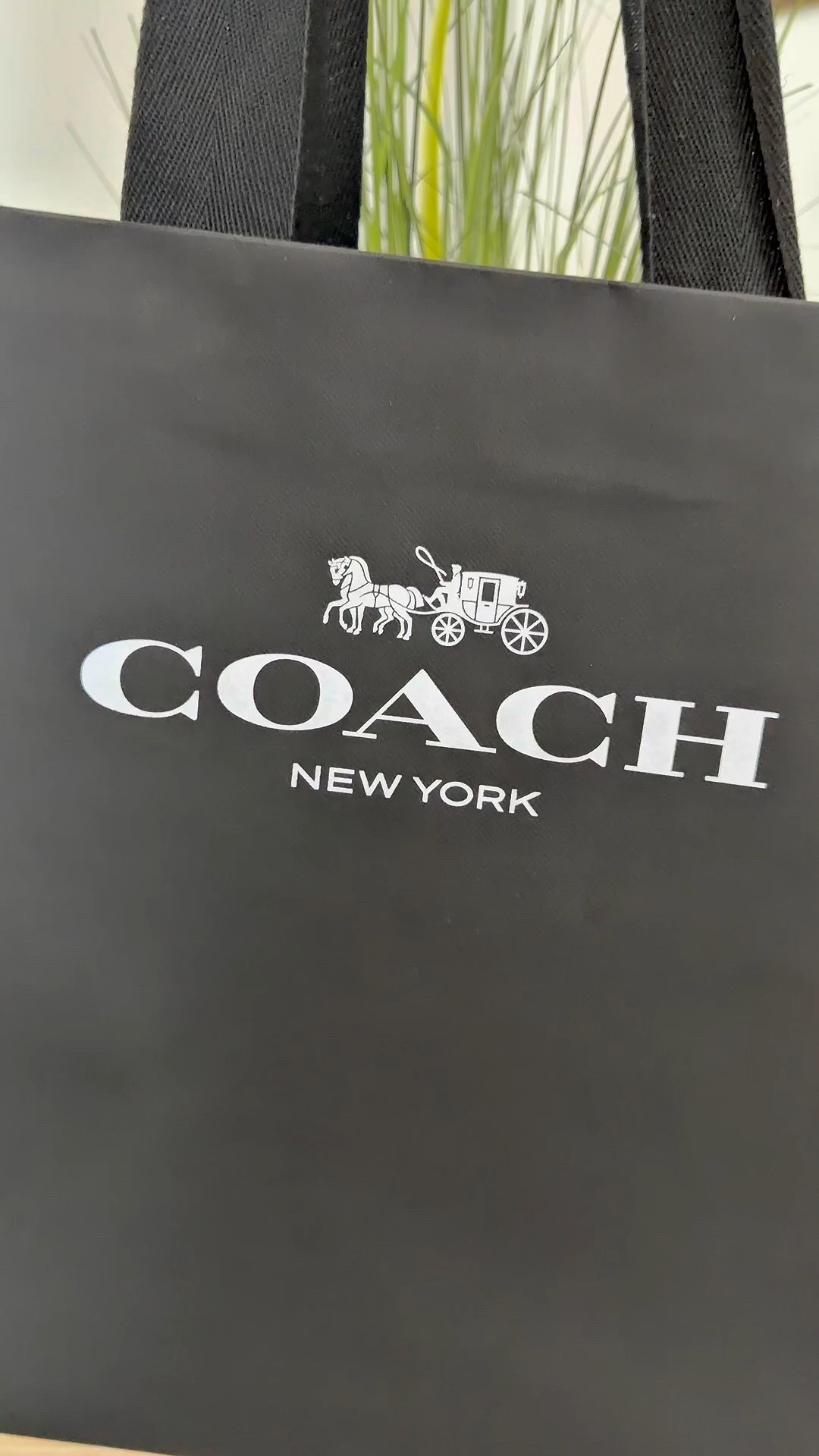 COACH HAUL! These slippers are CURRENTLY on CLEARANCE for 50% off! These are super cute and stylish but size up they run small. #luxury #coach #beauty #makeup #style #fashion #designer @coachnneka 

#LTKSeasonal #LTKBeauty #LTKValentine