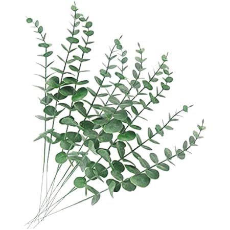 Tinsow 5 Pcs Real Touch Leaf Artificial Eucalyptus Stem Faux Eucalyptuses Wedding Bouquet Centerpiec | Amazon (US)
