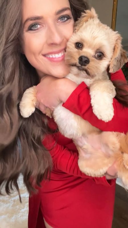 Cutest puppy and cutest red dress for holiday parties! Walmart fashion!

#LTKunder50 #LTKHoliday #LTKSeasonal