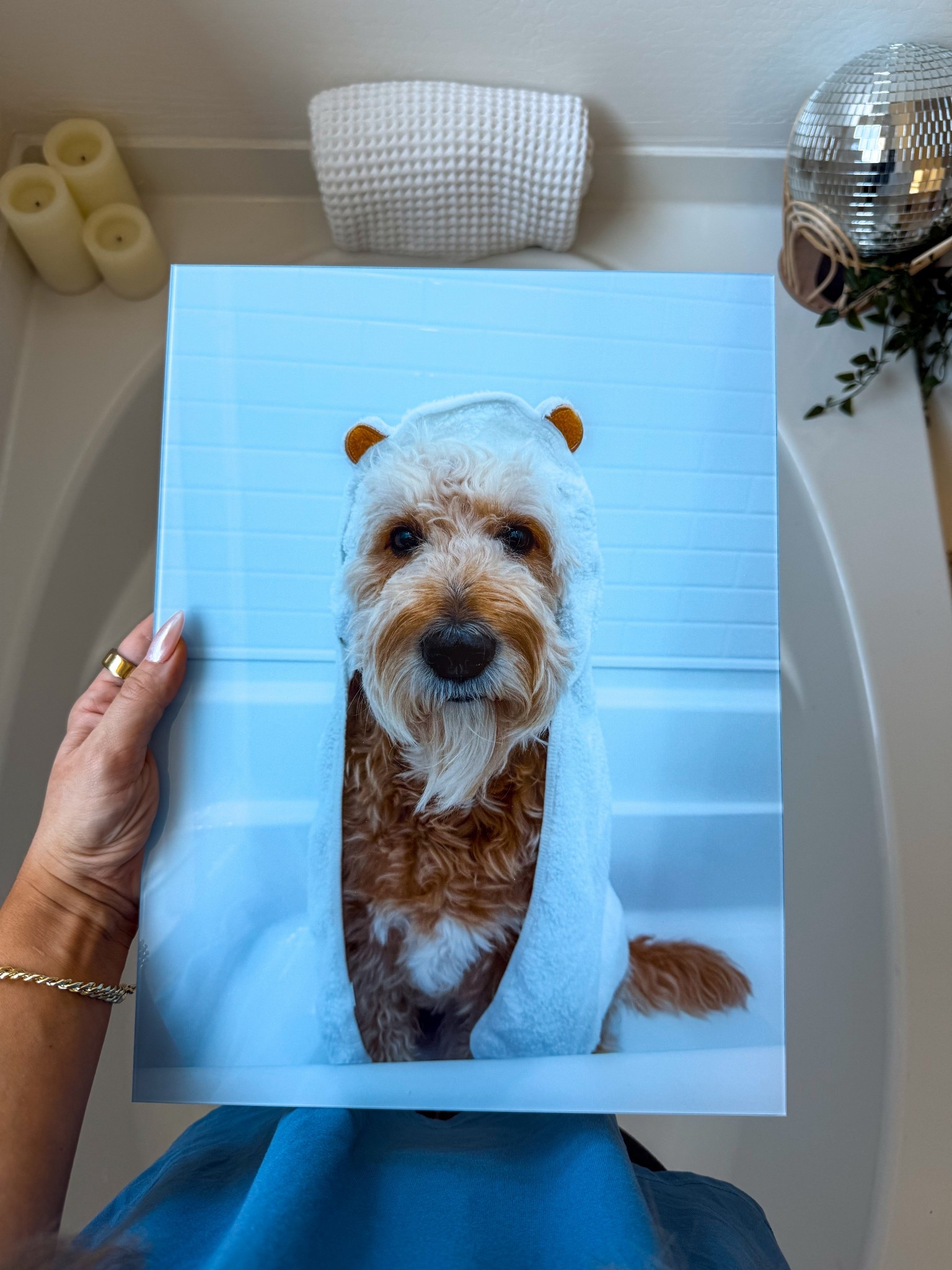 Making a core memory last forever is easier than ever with @fractureme gorgeous glass prints. These beauties transformed our bathroom from just another room, to our favorite unwinding spot. Arlo is a star in this family & now he has the perfect collage to feature him. ✨🐾 🫧

#FractureWorthy #Fractureme #FracturePrintsPartner #ad #Redecorate #Refresh #Bathroom #makeover 

#LTKFamily #LTKHome #LTKPets