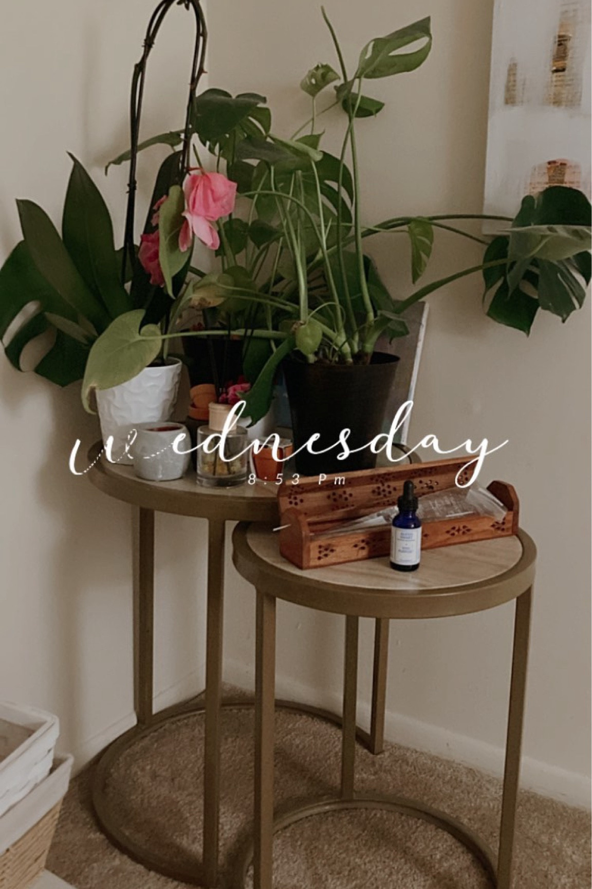 My garden stand

#LTKstyletip #LTKGiftGuide #LTKhome