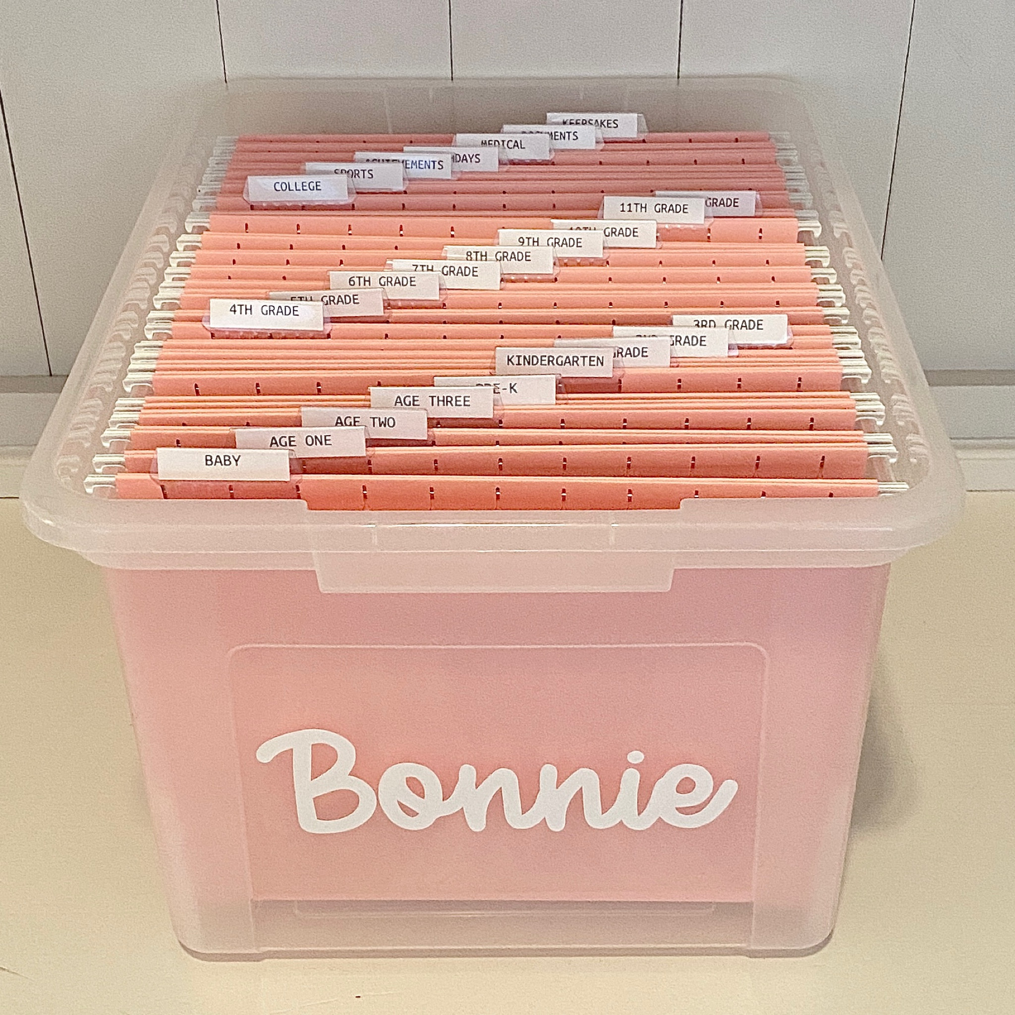 💗 Kid’s Memory Box 💗

If you’ve got a stack of papers you don’t know what to do with, memory boxes are a great way to get organized for the New Year. From arts and crafts, to birthday invitations, keepsakes and important documents - filing it away for each kiddo is a great way to keep track of everything in an organized way. 

I love the soft pink file folders and girly font for this memory box. Check out the link in my bio for info on ordering a a fully assembled memory box (if you’re local to DFW) or a DIY kit to make your own! (I send the labels, you buy the box and folders!)

Products shown are linked in my bio under LTK.  

••••••••••••••••••••••••••••

#girlmom #newyearscleaning #newyearsproject #filebox #memorybox #kidsmemorybox #keepsakebox #keepsakes #letsgetorganized #organizedmom #cricutjoyprojects #cricutjoy #cricutmade #averylabels #filefolder #filefolders #momlife #organization #organizing #organized #artsandcrafts #paperorganization #officeorganization #organizedoffice #memorykeeping #organizedmama #newyearsresolution #getorganized #happynewyear #cleartheclutter 

#LTKbaby #LTKfamily #LTKkids