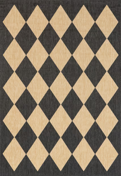 Dark Gray Adelaide Harlequin Indoor/Outdoor 4' x 6' Area Rug | Rugs USA