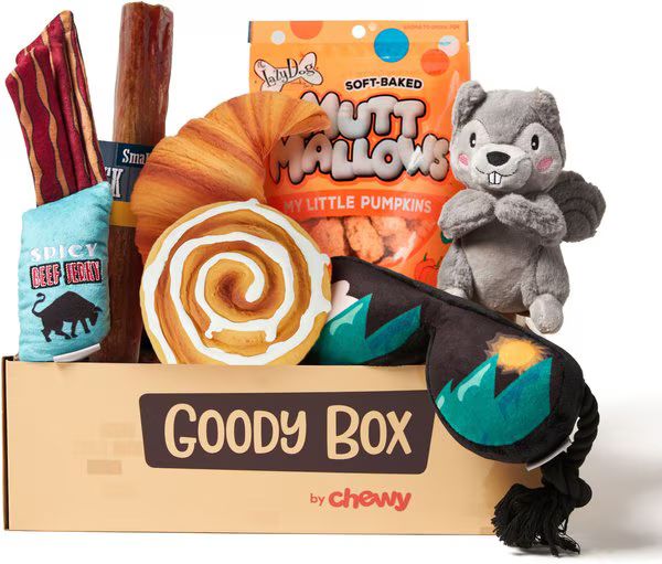 GOODY BOX Adventure Toys & Treats For Dogs, Small/Medium - Chewy.com | Chewy.com