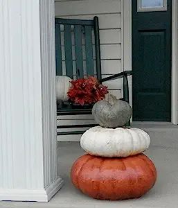 Stackable Pumpkins Set of 3, Artificial Halloween Stone Pumpkin & Cinderella Jacko'lantern Artifi... | Amazon (US)