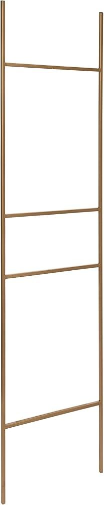 Kate and Laurel Poggi Metal Leaner Ladder Valet, 17.75" x 67", Gold, Glam Sophisticated Wall Deco... | Amazon (US)