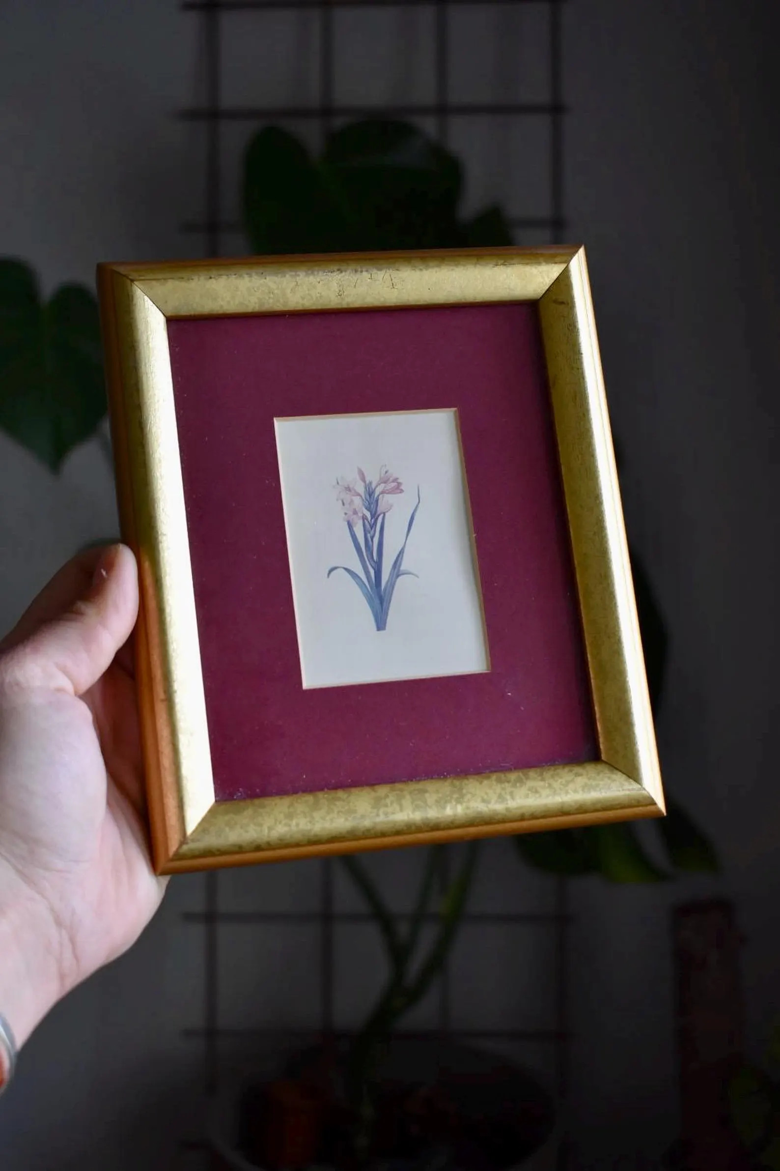 Vintage Framed Flower Portrait • Gold Gilt Frame • Claret Mat • Small Wall Decor | Etsy (Global)