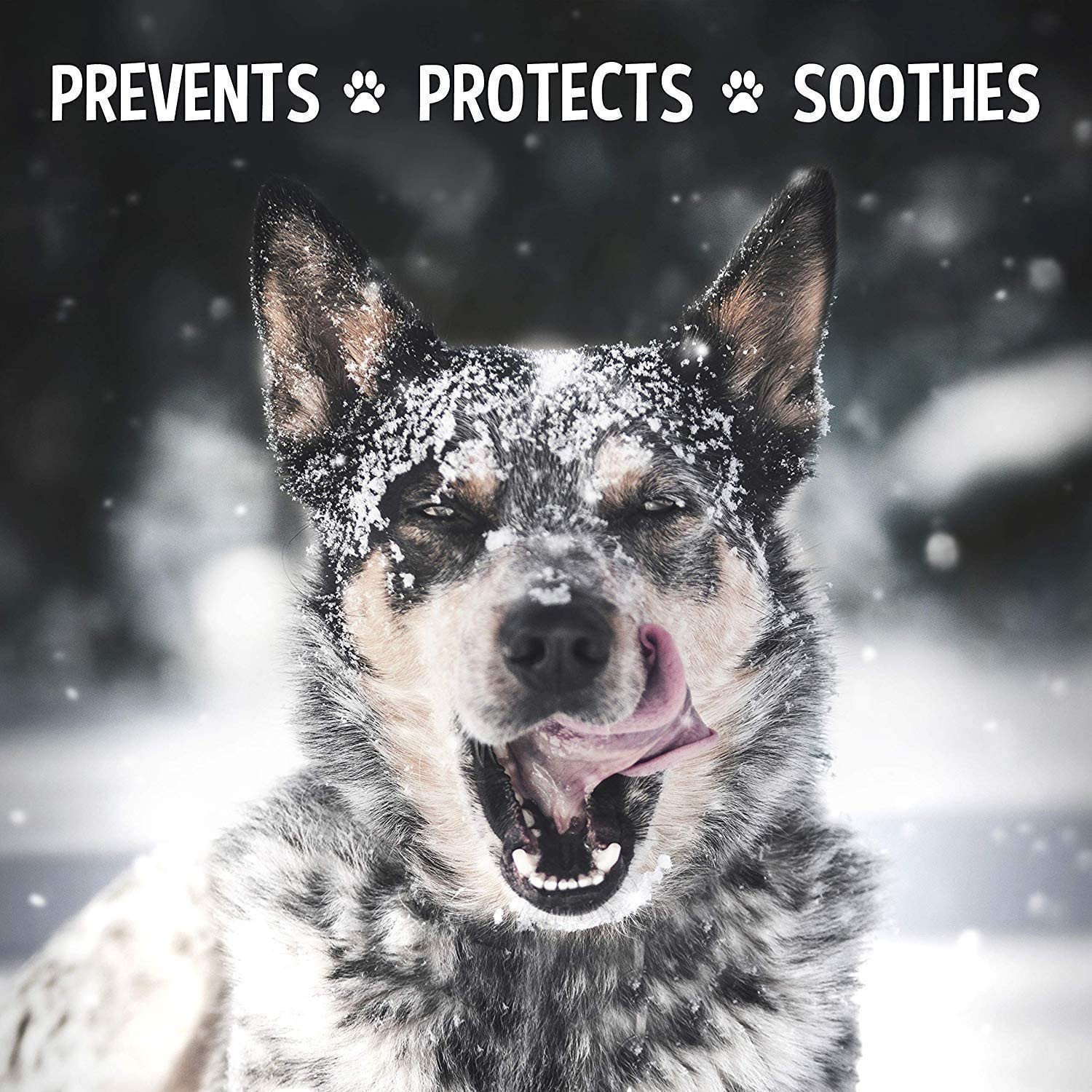 Musher's Secret Dog Paw Wax (2.1 Oz): All Season Pet Paw Protection Against Heat, Hot Pavement, Sand | Amazon (US)