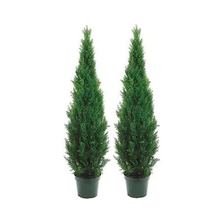 Two 5 Foot Outdoor Artificial Cedar Topiary Trees Potted Plants Two Peace Construction | Amazon (US)