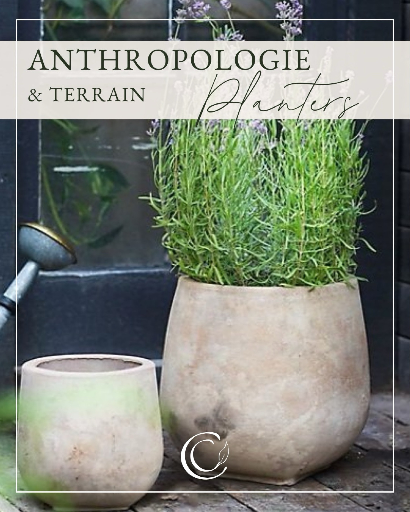 Aged ceramic planter

#LTKhome #LTKSpringSale #LTKSeasonal