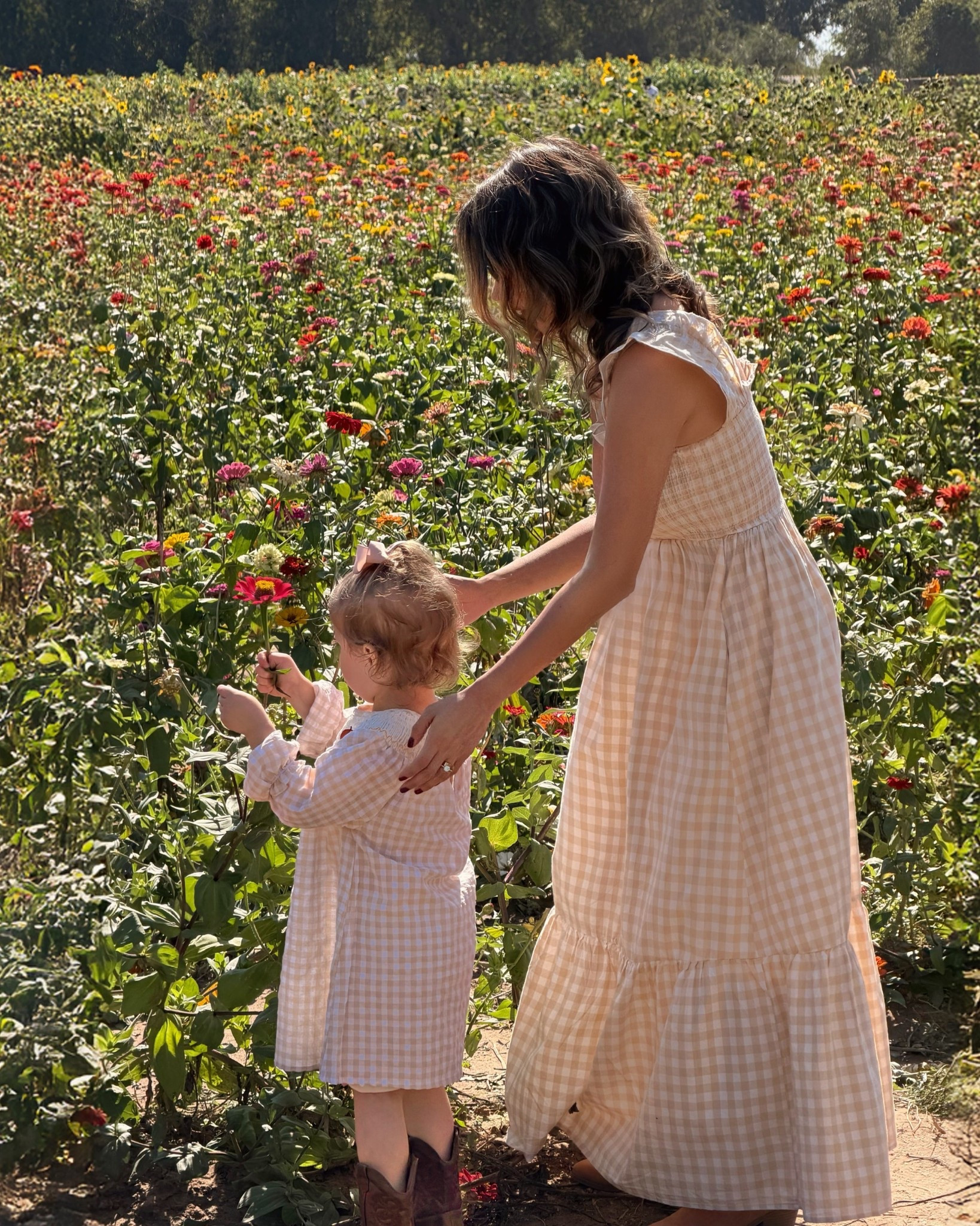 Wearing an XS
Fall gigham dress 
Family photos
Amazon finds
Toddler girl  Thanksgiving dress 

#LTKSeasonal #LTKKids #LTKFamily