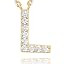 PAVOI Initial Necklace for Women, 14K Gold Plated Cubic Zirconia Pendant | Amazon (US)