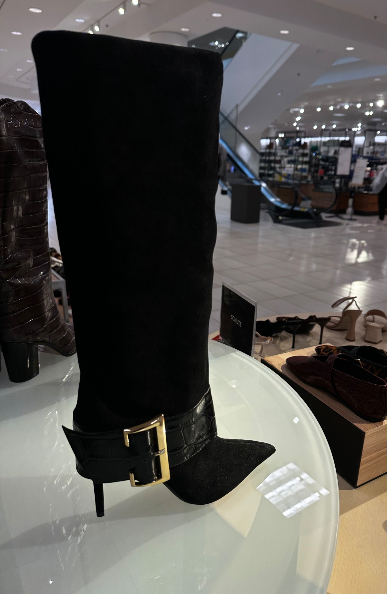 Schutz did not come to play. 🔥🖤 Spotted at Nordstrom — suede, croc buckle, and a pointed toe that means business.
Do I need them or do I need them?

#LTKShoeCrush #LTKStyleTip