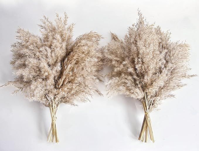 pampas grass decor, Natural Dry Pampas Grass Small, Short Pampass Bulk for farmhouse, wall, kitch... | Amazon (US)