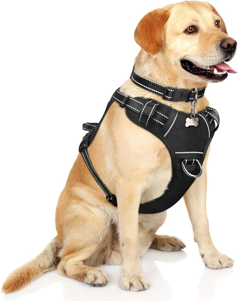 WINSEE Dog Harness No Pull, Pet Harnesses with Dog Collar, Adjustable Reflective Oxford Outdoor V... | Amazon (US)
