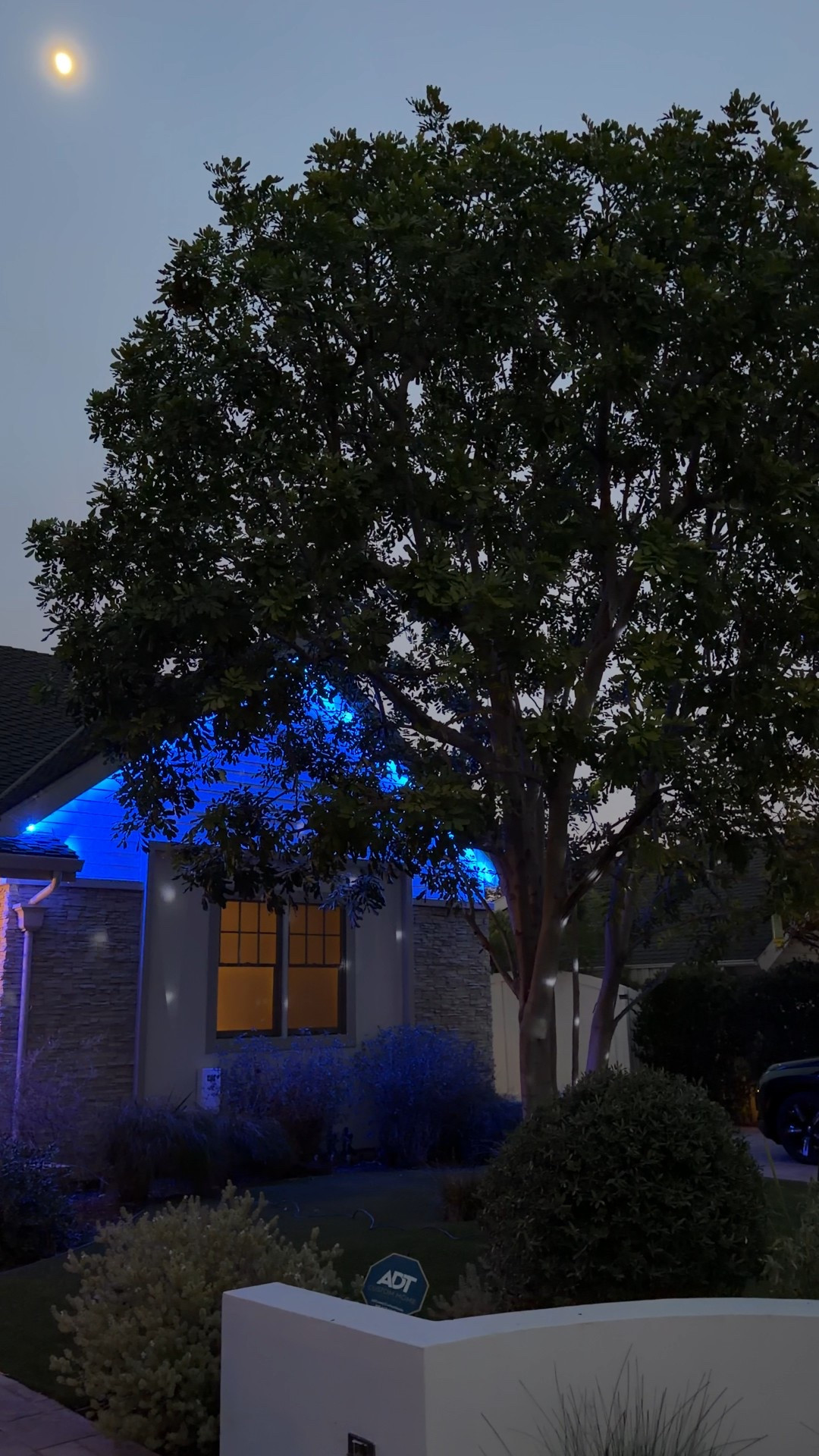 Snowflake light 
For the easiest outdoor holiday decor 
Outdoor Christmas lights 
Snow lights 
Holiday lights

#LTKSeasonal #LTKFindsUnder50 #LTKHoliday