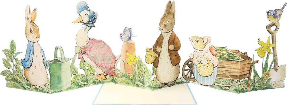 Meri Meri Peter Rabbit™ Blank Card (Pack of 1) | Amazon (US)